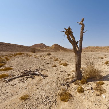 Melankoli ve boşluk of the desert filmindeki İsrail.