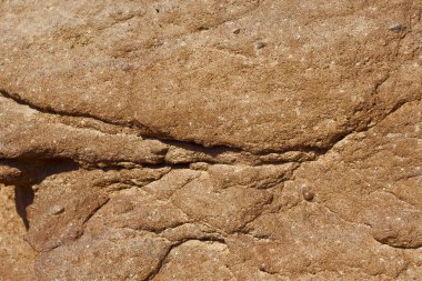 Arka plan olarak doğal desen