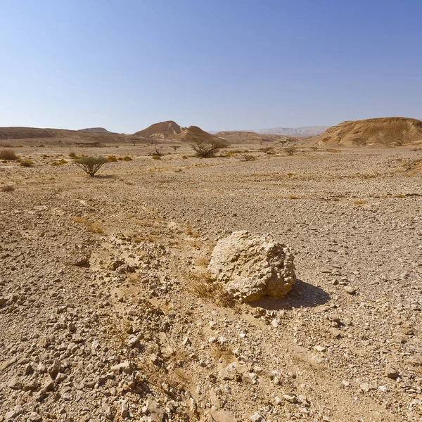 Melancholia i pustka pustyni w Izraelu. — Zdjęcie stockowe