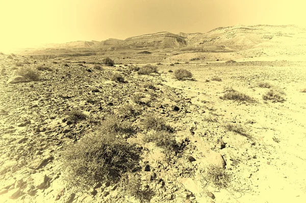 Klippiga kullar i negev öknen i israel. — Stockfoto