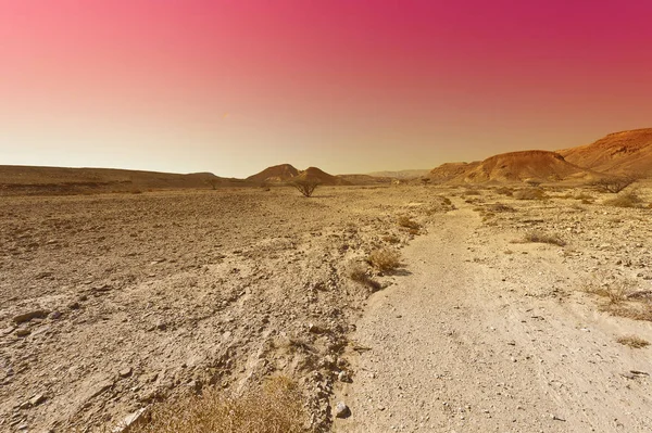 Rabiosos colores del desierto en Israel . —  Fotos de Stock