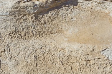 Arka plan olarak doğal desen