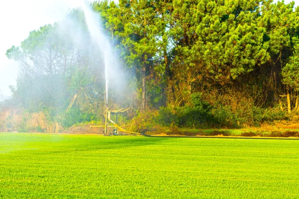 Sprinkler irrigation system in operation — Stock Photo, Image