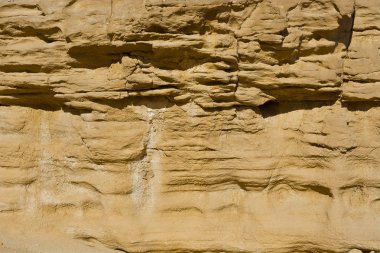 Arka plan olarak doğal desen