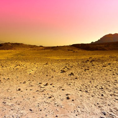 İsrail renkli çöl.