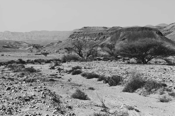 Desierto de piedra en blanco y negro — Foto de Stock