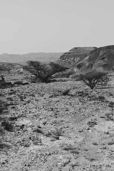 Desierto de piedra en blanco y negro — Foto de Stock