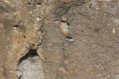 Arka plan olarak doğal desen