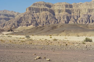 Ortadoğu'nun sonsuz fantezi.