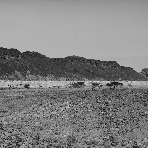 Stone desert in black and white