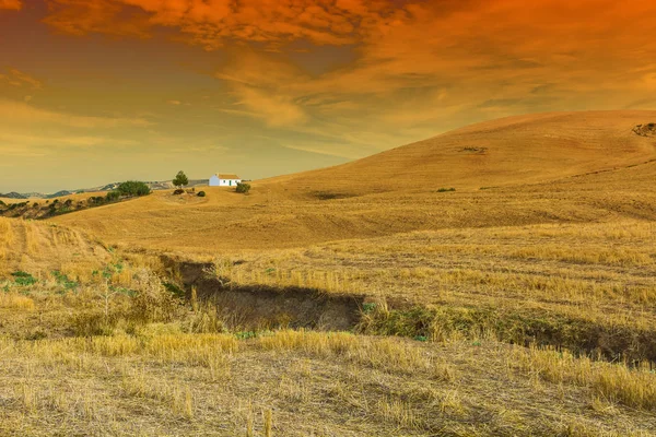 Ferme dans une lumière mystique — Photo