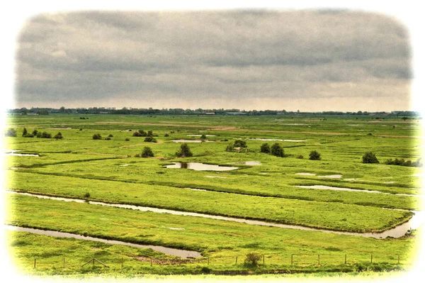 Ängar som bildas av dammar i Holland — Stockfoto