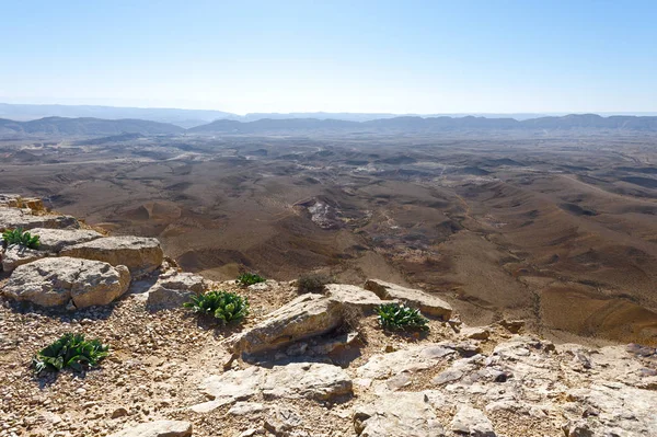 Stone Desert in Israel