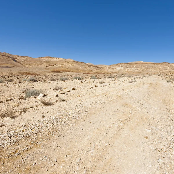 El desierto de piedra en Israel — Foto de Stock