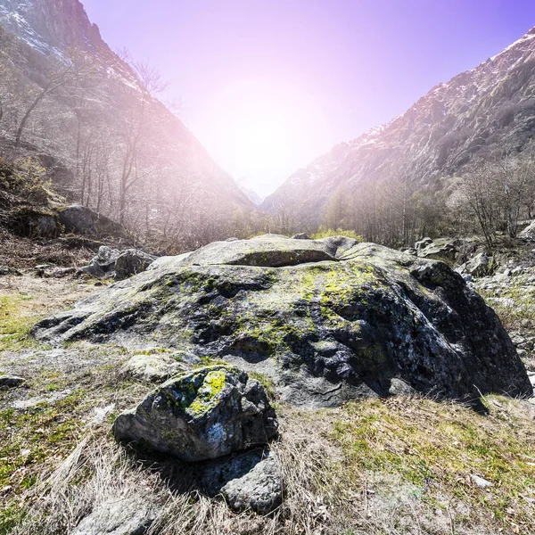 Valley with river at sunrise — Stock Photo, Image