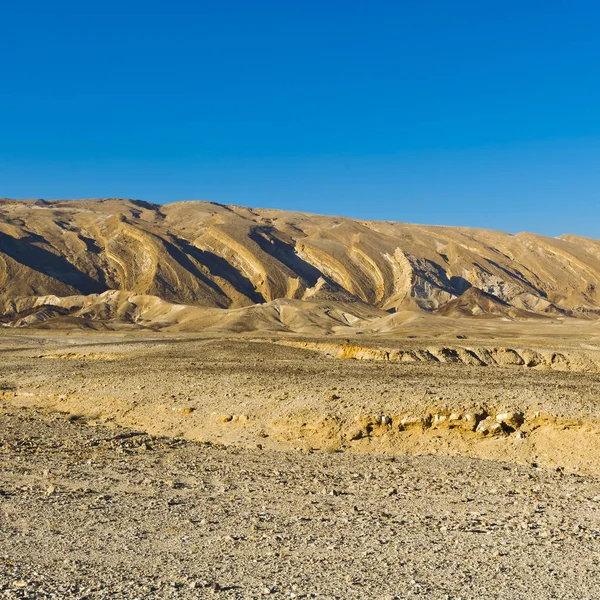 Negev woestijn in Israël — Stockfoto