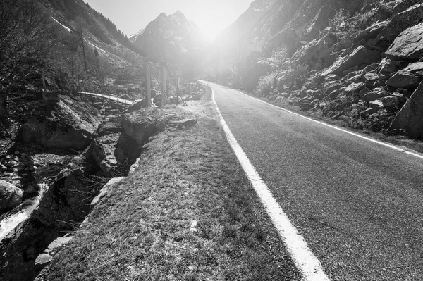 Niebla sobre el camino — Foto de Stock