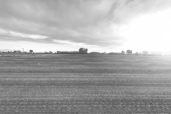 Fields in Italy at sunset. — Stock Photo, Image