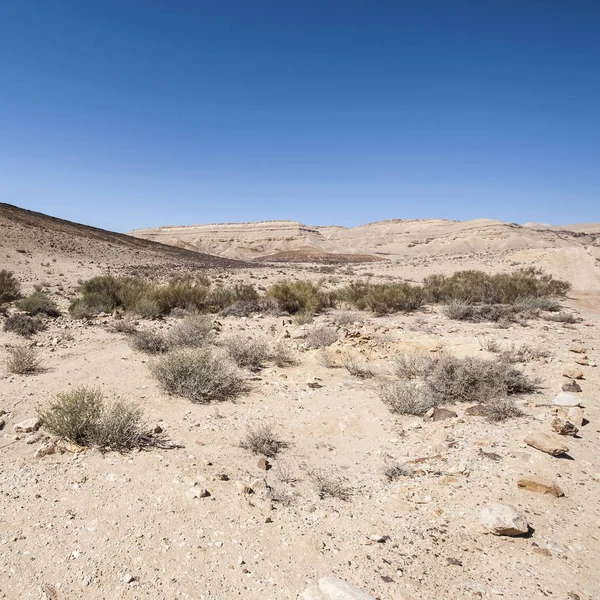 Sten öken i israel — Stockfoto