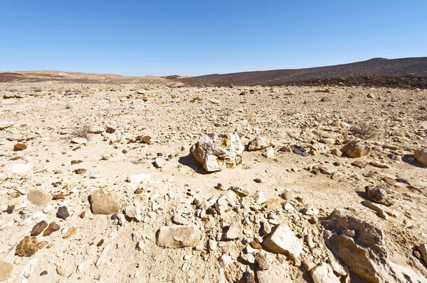Stone Desert in Israel — Stock Photo, Image