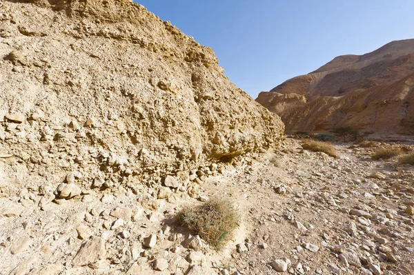 Deserto de pedra em Israel — Fotografia de Stock