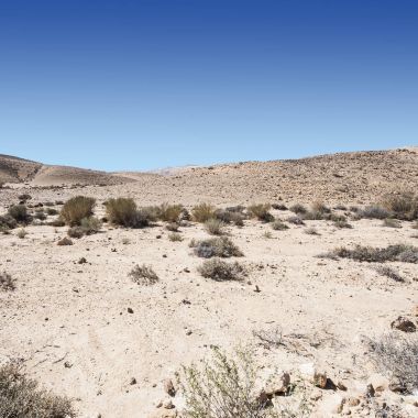 İsrail Taş Çölü