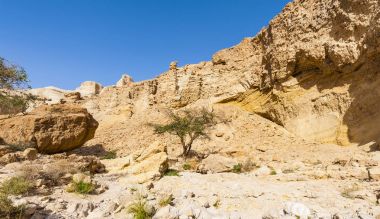 İsrail Taş Çölü