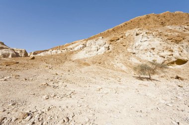 İsrail Taş Çölü