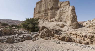 İsrail Taş Çölü