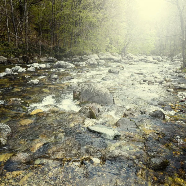 Gündoğumu nehirde orman Vadisi — Stok fotoğraf