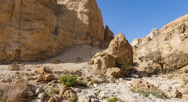 El desierto de piedra en Israel — Foto de Stock