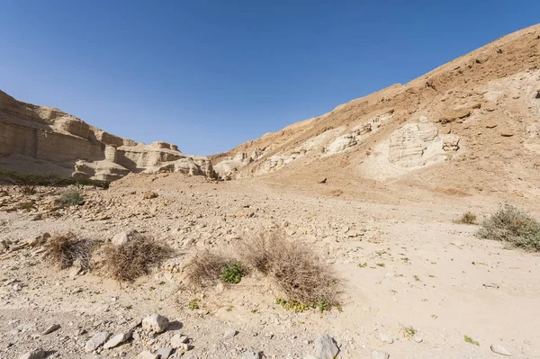 El desierto de piedra en Israel — Foto de Stock