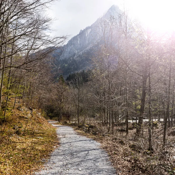 Caminho florestal no Piemonte — Fotografia de Stock