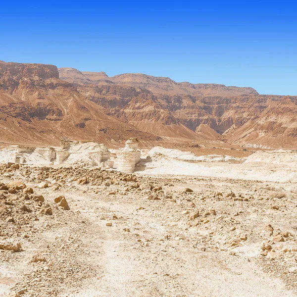 在以色列的石沙漠 — 图库照片