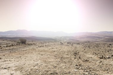 Gündoğumu, İsrail Çölü
