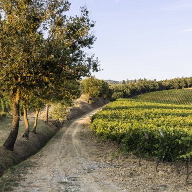 İtalyan şarap çiftliği günbatımında üzüm bağları ile çevrili. Tuscany olduğunu birçok dünyanın en önemli şarap bölgeleri