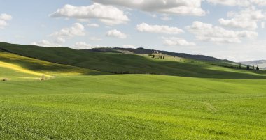 Alanları, otlaklar ve çiftlik evi 