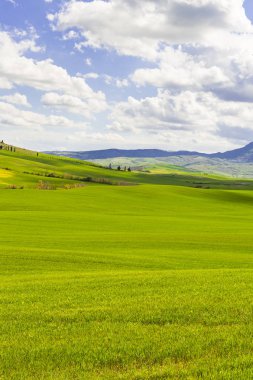 Alanları, otlaklar ve çiftlik evi 
