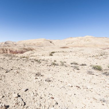 İsrail çölde peyzaj