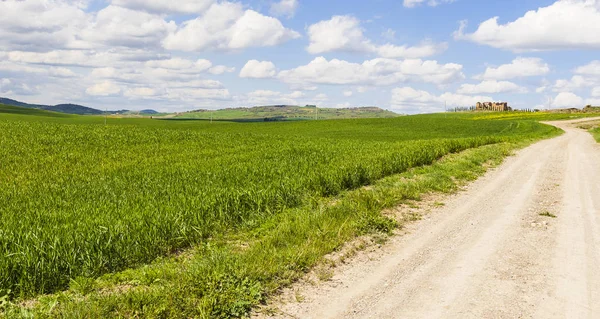 早い春の牧草地間の未舗装の道路とイタリアの風景 イタリア 分野および牧草地の農業 — ストック写真