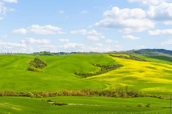 意大利景观与早在春天的草甸 在意大利 牧场和山丘上的农舍农业 — 图库照片