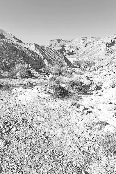 Felsige Hügel Der Negev Wüste Israel Wind Hat Felsformationen Der — Stockfoto