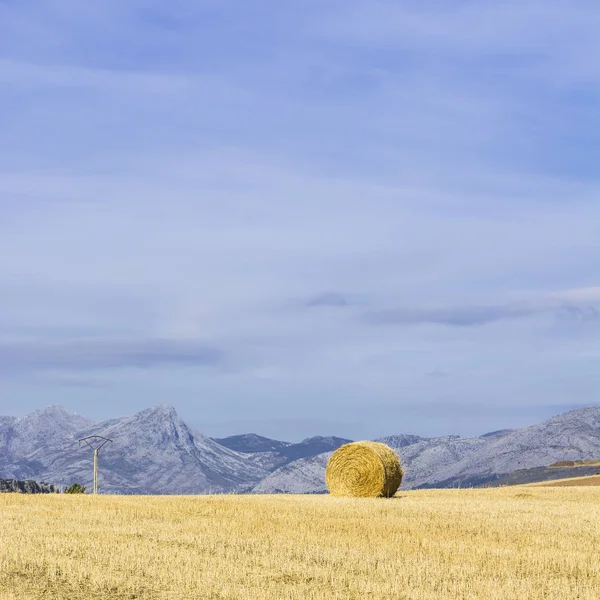 干草捆在田野上的坎塔布山 西班牙清晨 牧场和阳光下的西班牙风景 — 图库照片