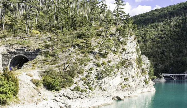 Bewaldetes Ufer Des Sees Den Französischen Alpen Lake Castillon Ist — Stockfoto