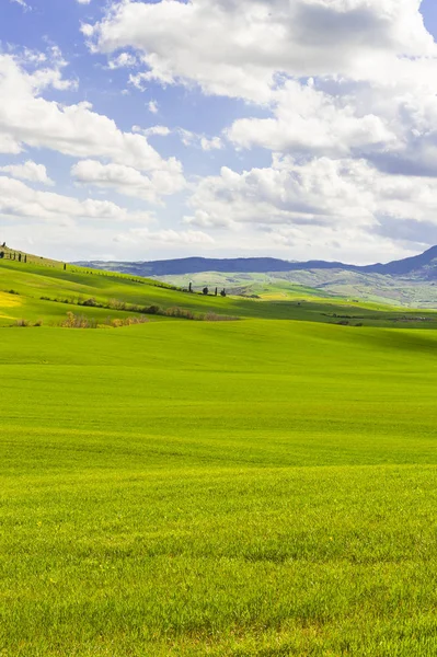 Felder, Weiden und Bauernhof — Stockfoto