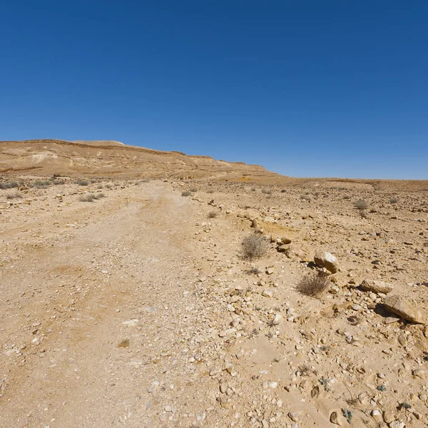 Landschap van de woestijn in Israël — Stockfoto