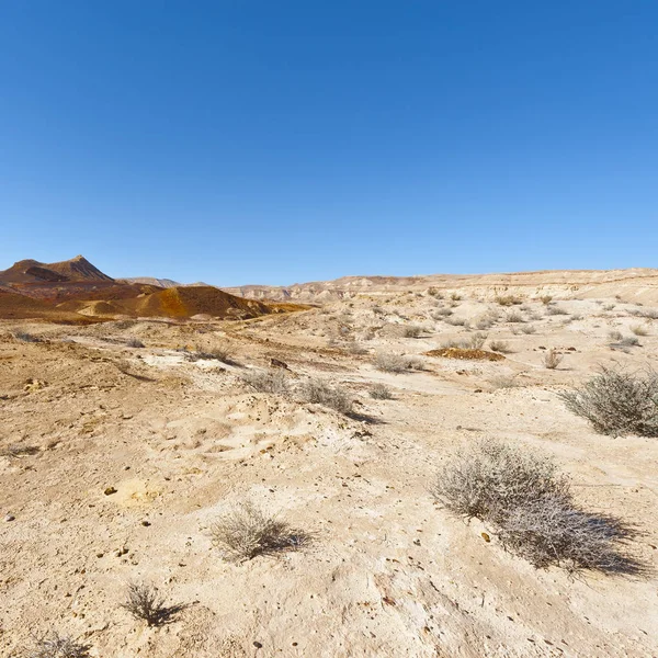 在以色列沙漠的风景 — 图库照片