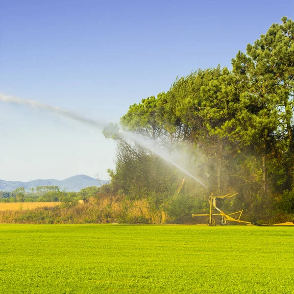 Sprinkler irrigation system in operation — Stock Photo, Image