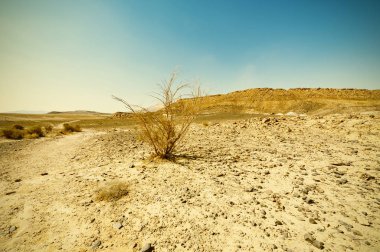 Vintage Tarzı Çöl
