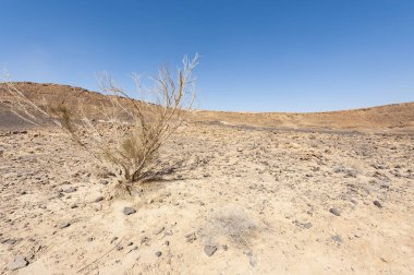 İsrail 'de Negev Çölü